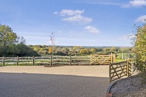 Photo 15- click for photo gallery